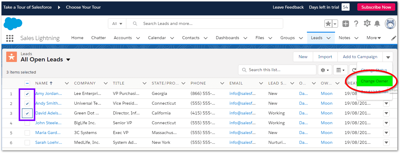 Bulk Owner Change in Salesforce